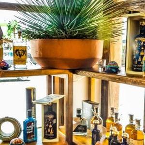 Tequila & Mezcal Tasting Experience