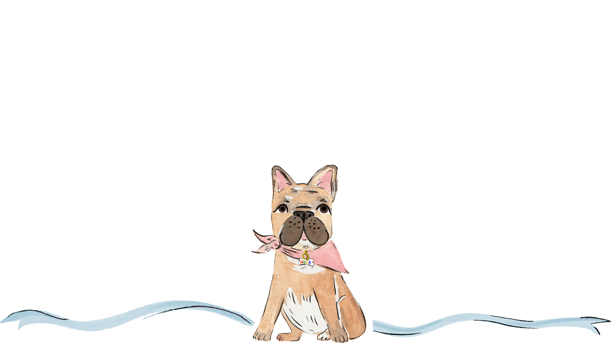 Footer image