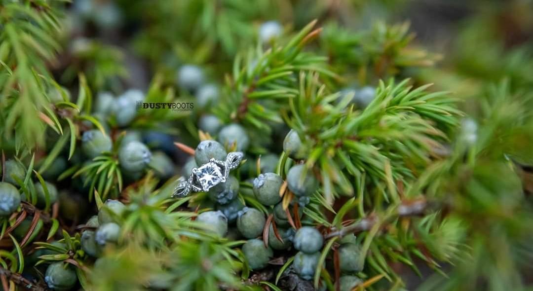 The Wedding Website of Taylor Perronne and Nathan Fritz