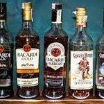 Bacardi Historical Tour