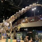 Perot Museum of Nature and Science