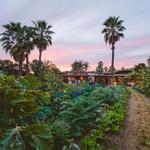 Eat: Flora Farms