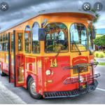 Clearwater Jolley Trolley