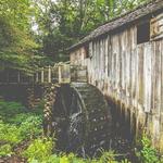 Cades Cove Loop Road