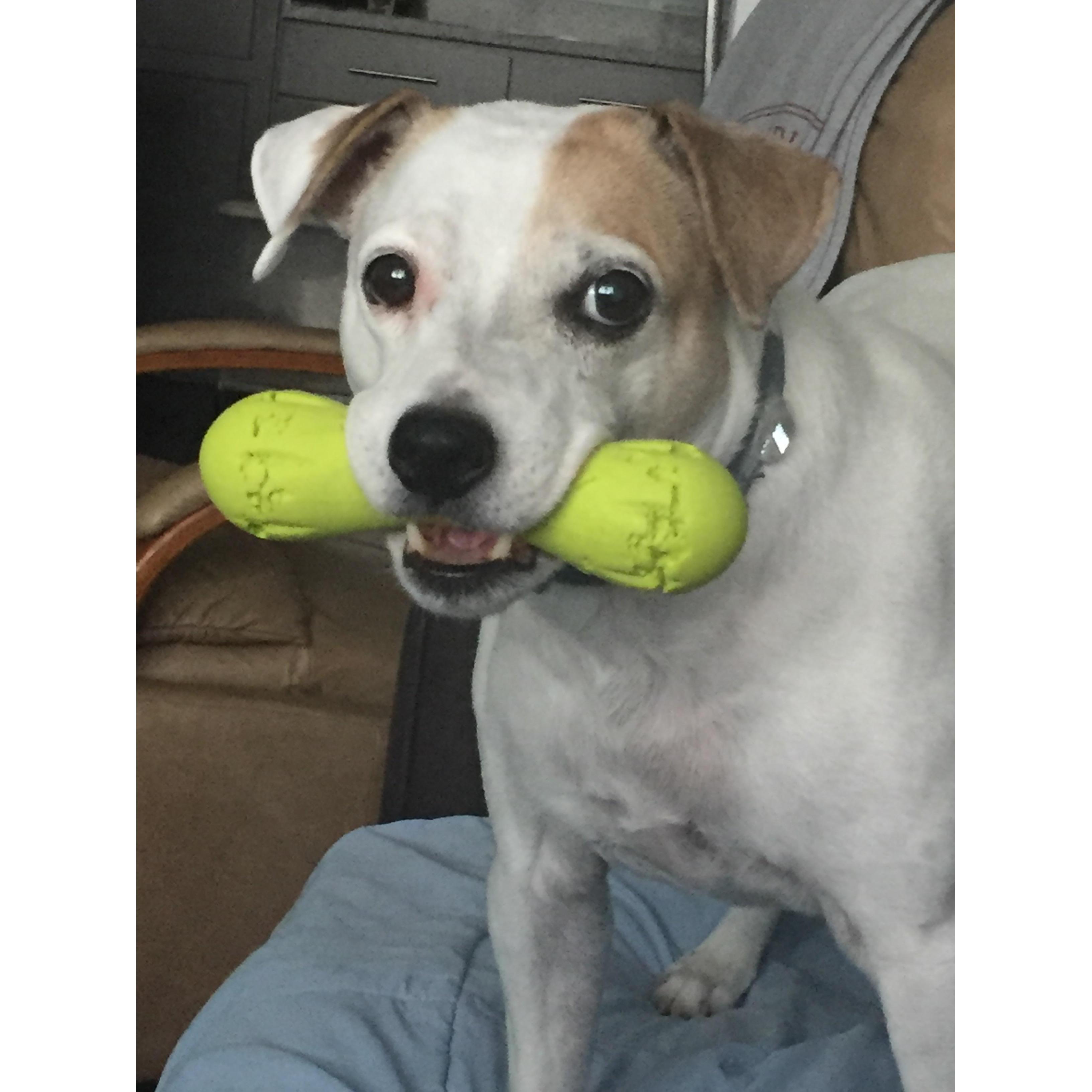 The first picture of Hoosier Xen ever sent me. Love at first sight.