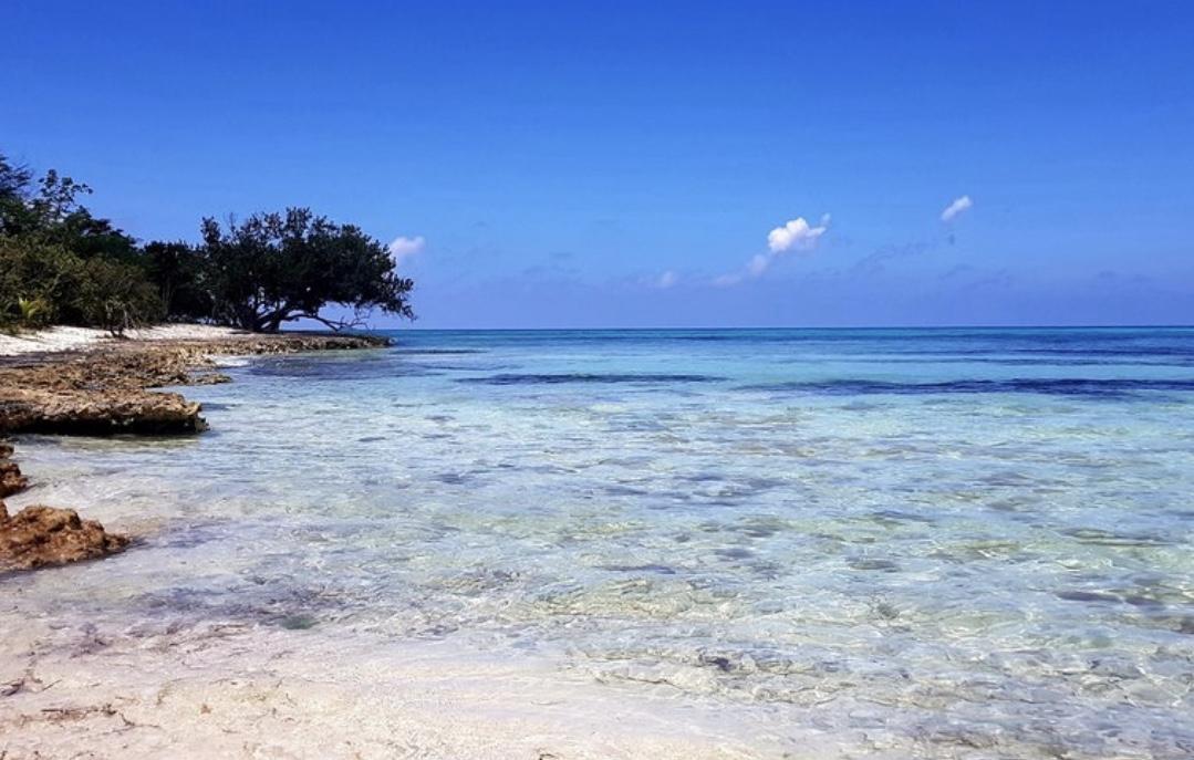 The Wedding Website of Jessica Wiggins and Jeremy Mccann