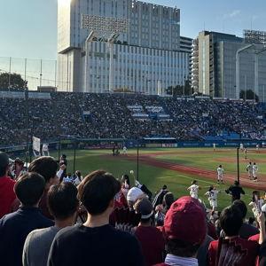 Yokult Swallows Baseball game in Tokyo