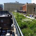 The High Line