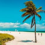 Haulover Beach