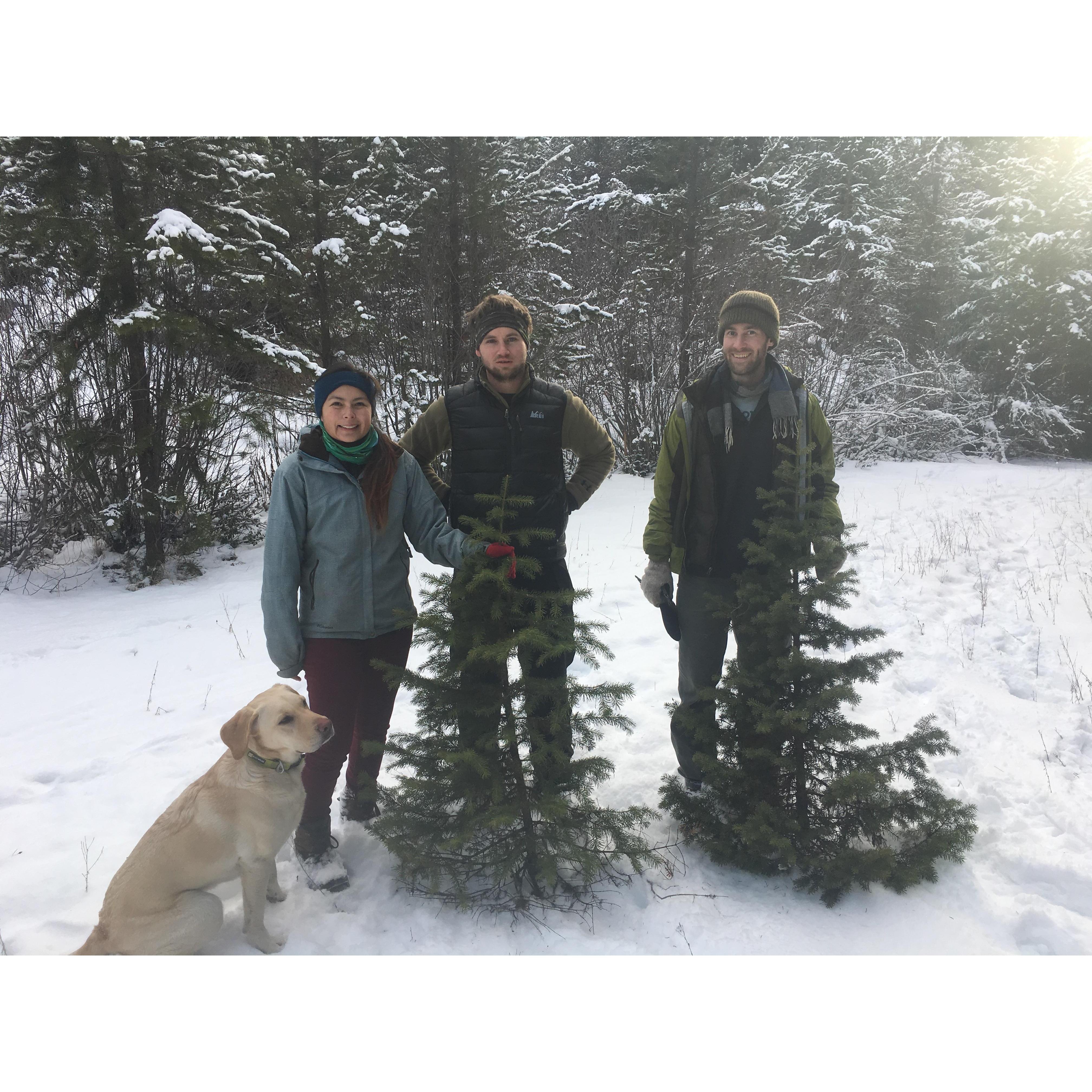 Cutting down our Xmas Tree with Mr. Max in MT