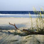 Tybee Island