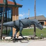 Rocky Mountain Dinosaur Resource Center