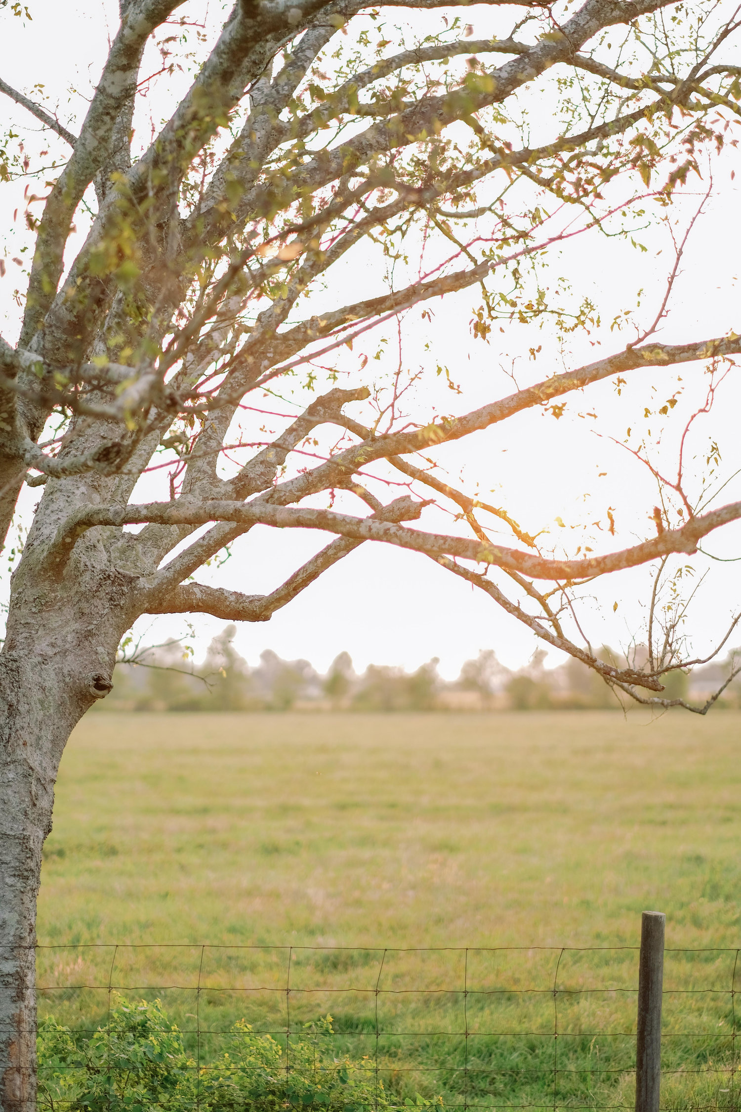 The Wedding Website of Jamie Granier and Tyler Lusco
