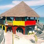 Freedom in Paradise Reggae Beach Bar & Grill