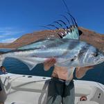 Jueves - Día de Pesca