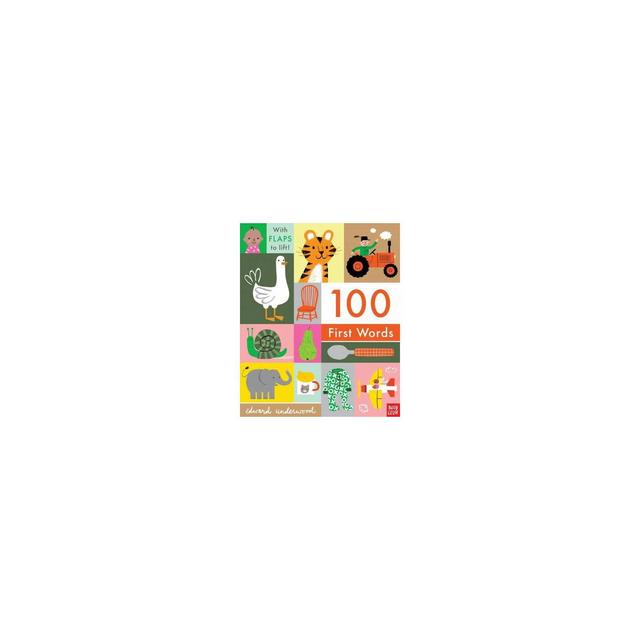 100 First Words - BRDBK (Hardcover)