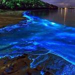 Bahía Bioluminiscente