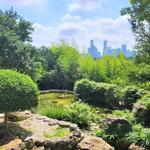 Zilker Botanical Garden