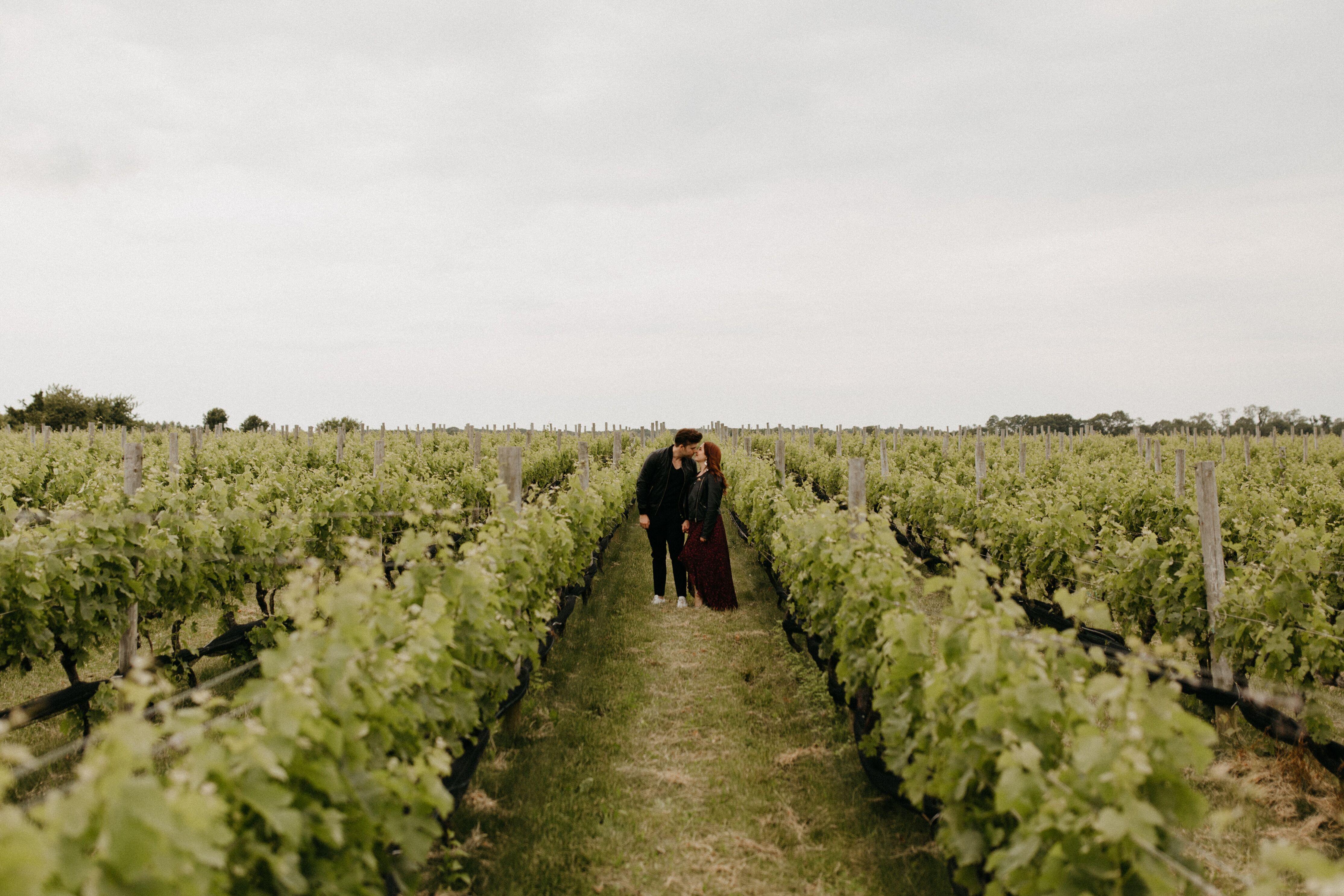 The Wedding Website of Michelle Korman and Jonathan Brody