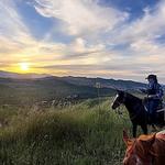 Susie Q Ranch-Horseback Riding & Wine Tastings