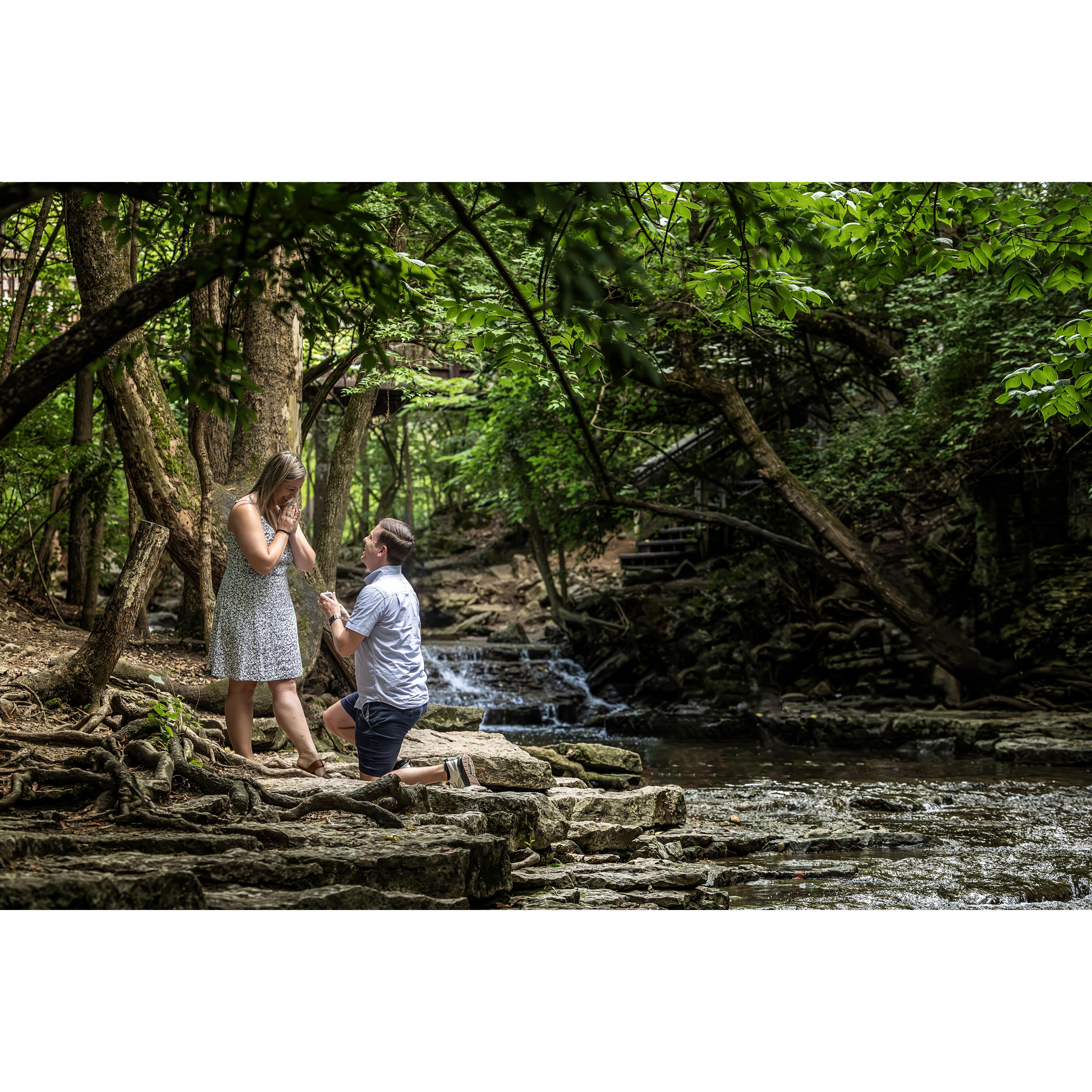 The proposal!