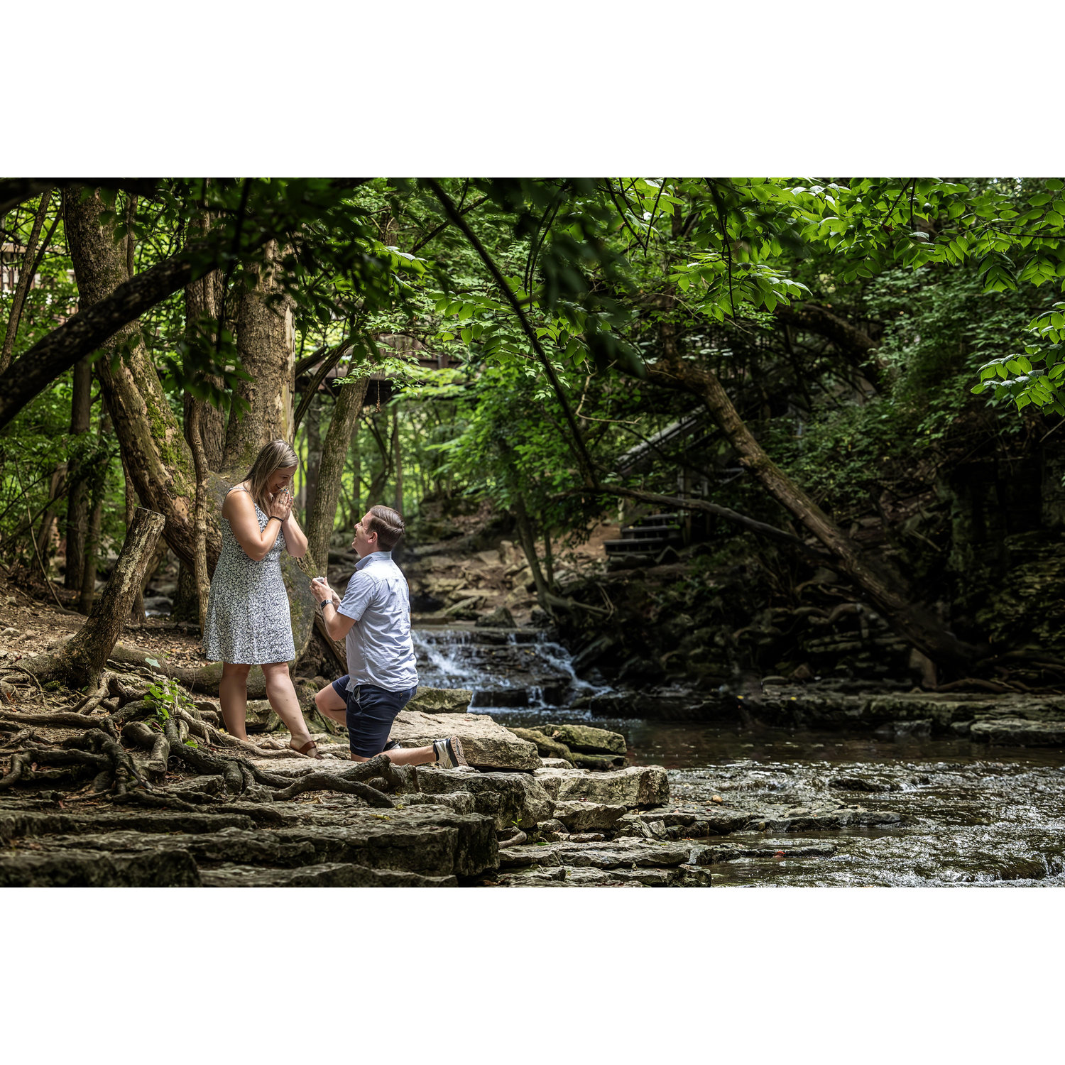 The proposal!