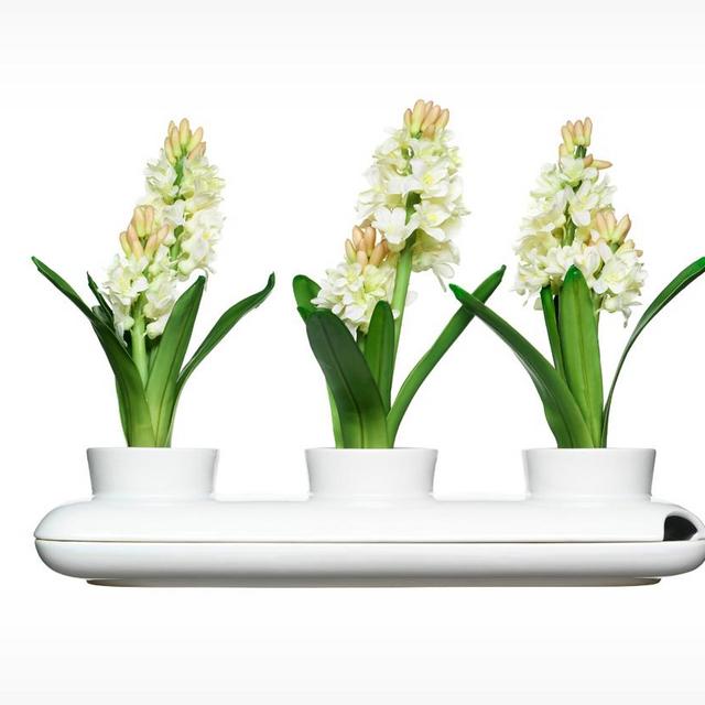 EQ3 | Trio Herb Pot