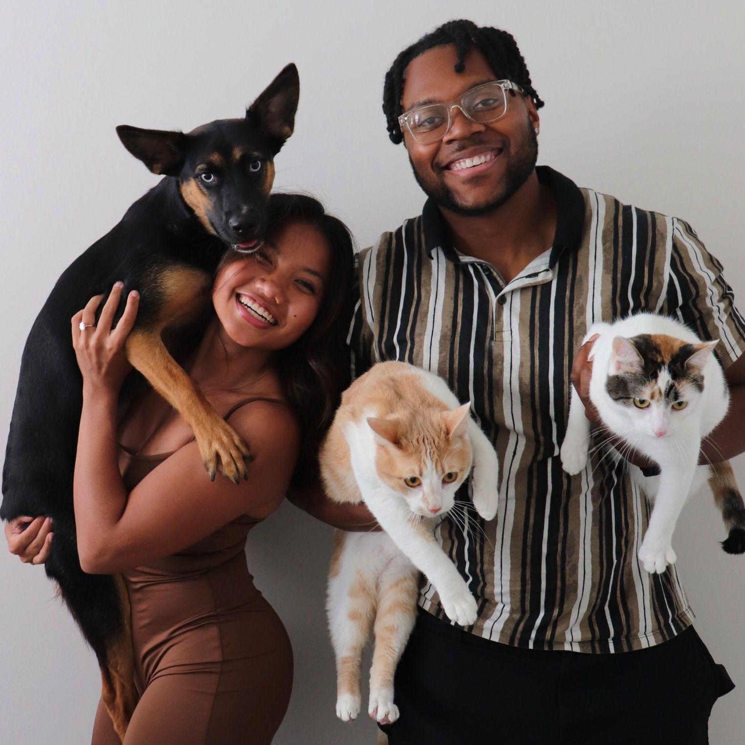 Our Family! Anya (Border-Heeler), Macro (Tabby) & Kila (Calico-Tabby)