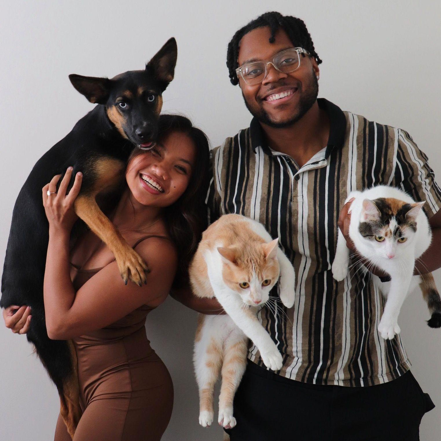 Our Family! Anya (Border-Heeler), Macro (Tabby) & Kila (Calico-Tabby)