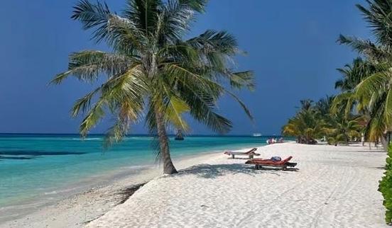 08d3bd83-c901-41b3-af51-bf366eed6504