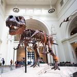 The Field Museum