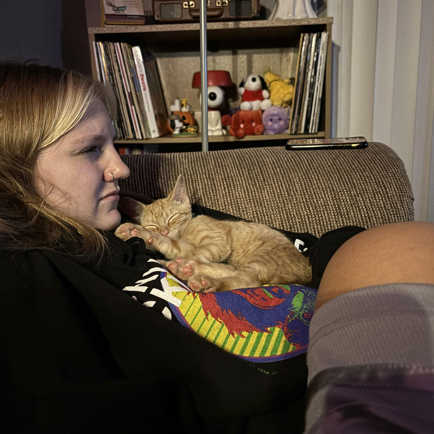 The first night we had Gimli, our first cat.