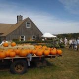 Averill Farm
