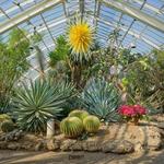 Phipps Conservatory and Botanical Gardens