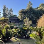 The Huntington Library, Art Museum, and Botanical Gardens