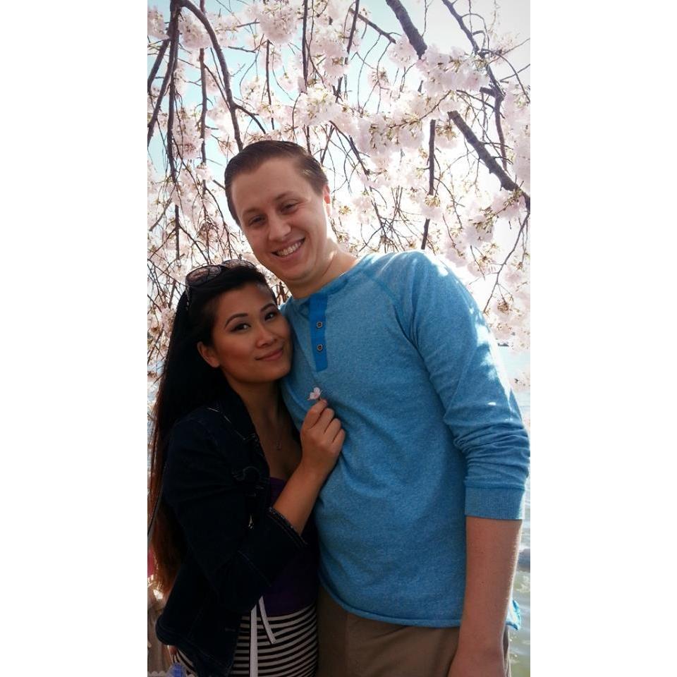 DC Cherry Blossoms 2015