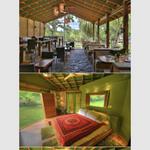 Loterie Farm