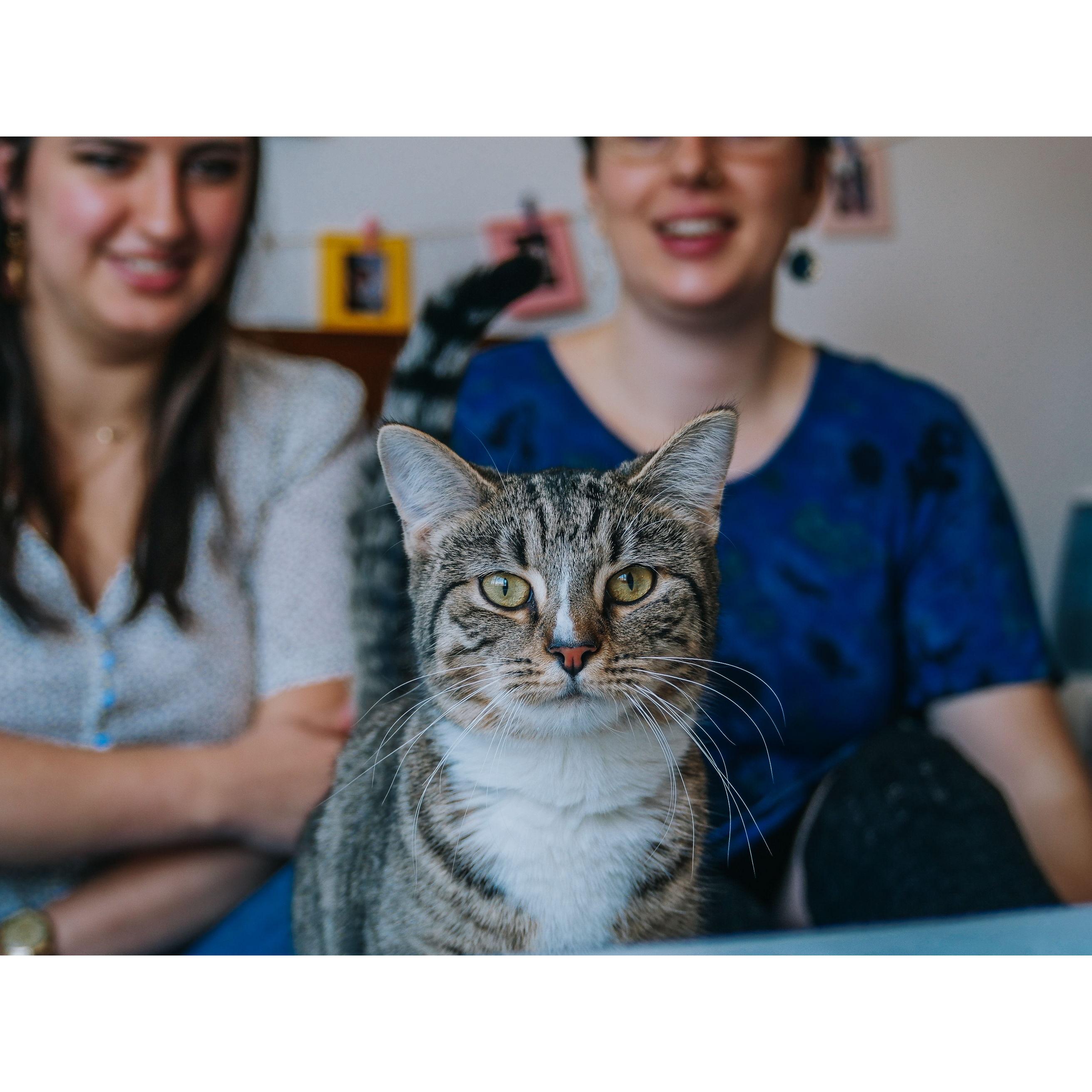 Just a few months after moving into our first apartment together, and just days after bringing our sweet boy home!