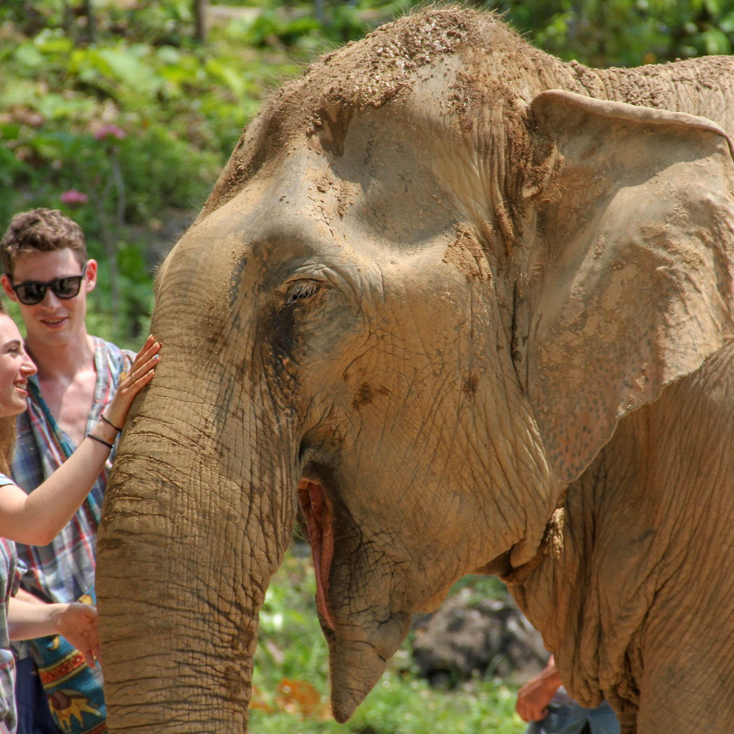 Chiang Mai