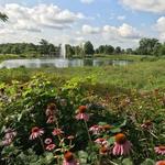 Coffee Creek Preserve