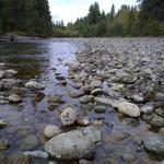 Suncadia River Trails