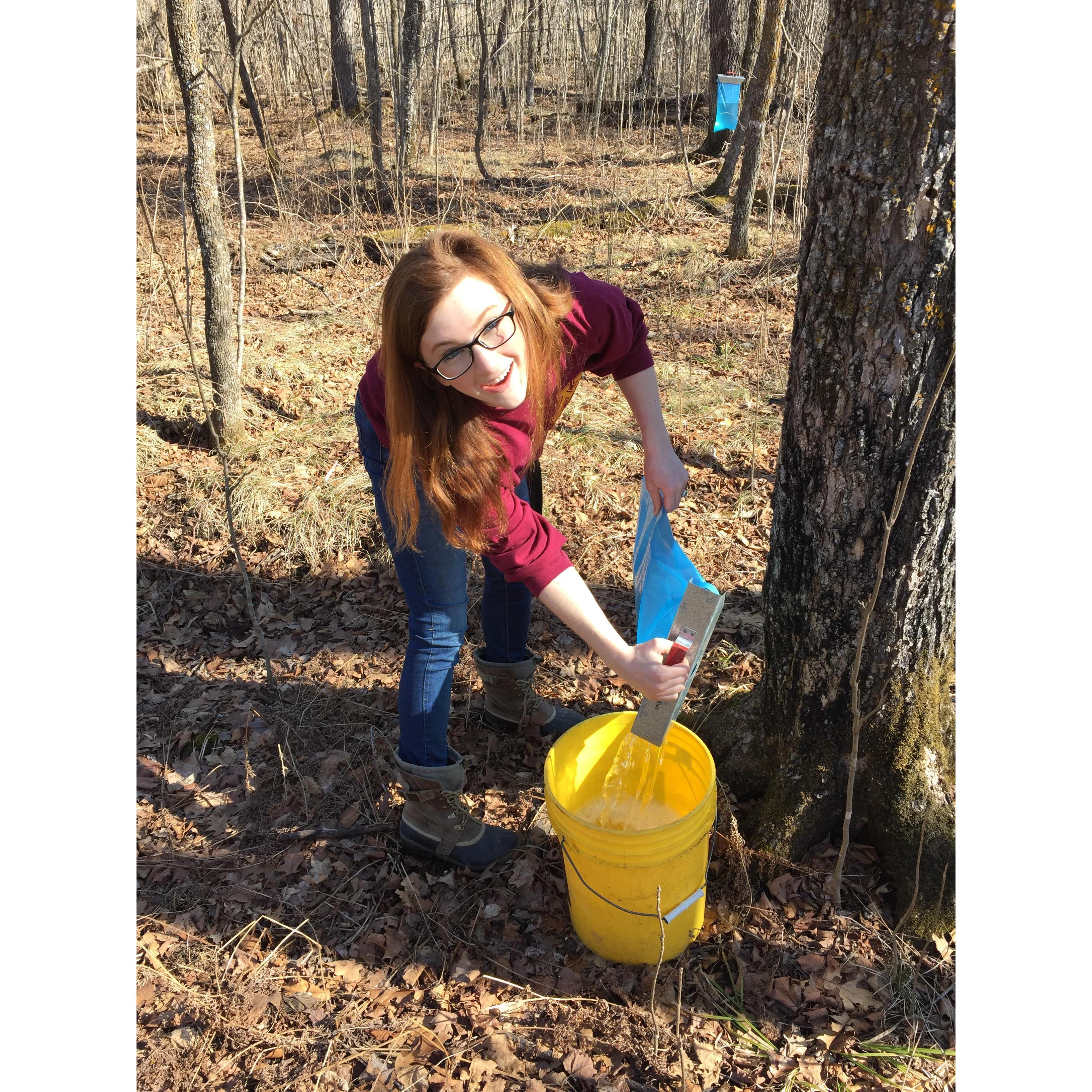 Kyle with the Seifert clan, collecting maple sap to make maple syrup!