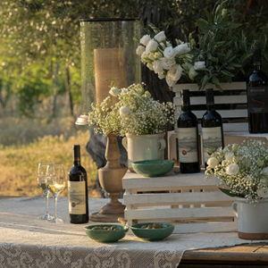 Italy: Wine Tasting
