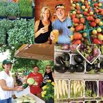 Salado Farmer’s Market at Barrow Brewing Co.