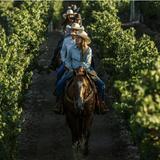 Horseback Riding - Vino Vaqueros