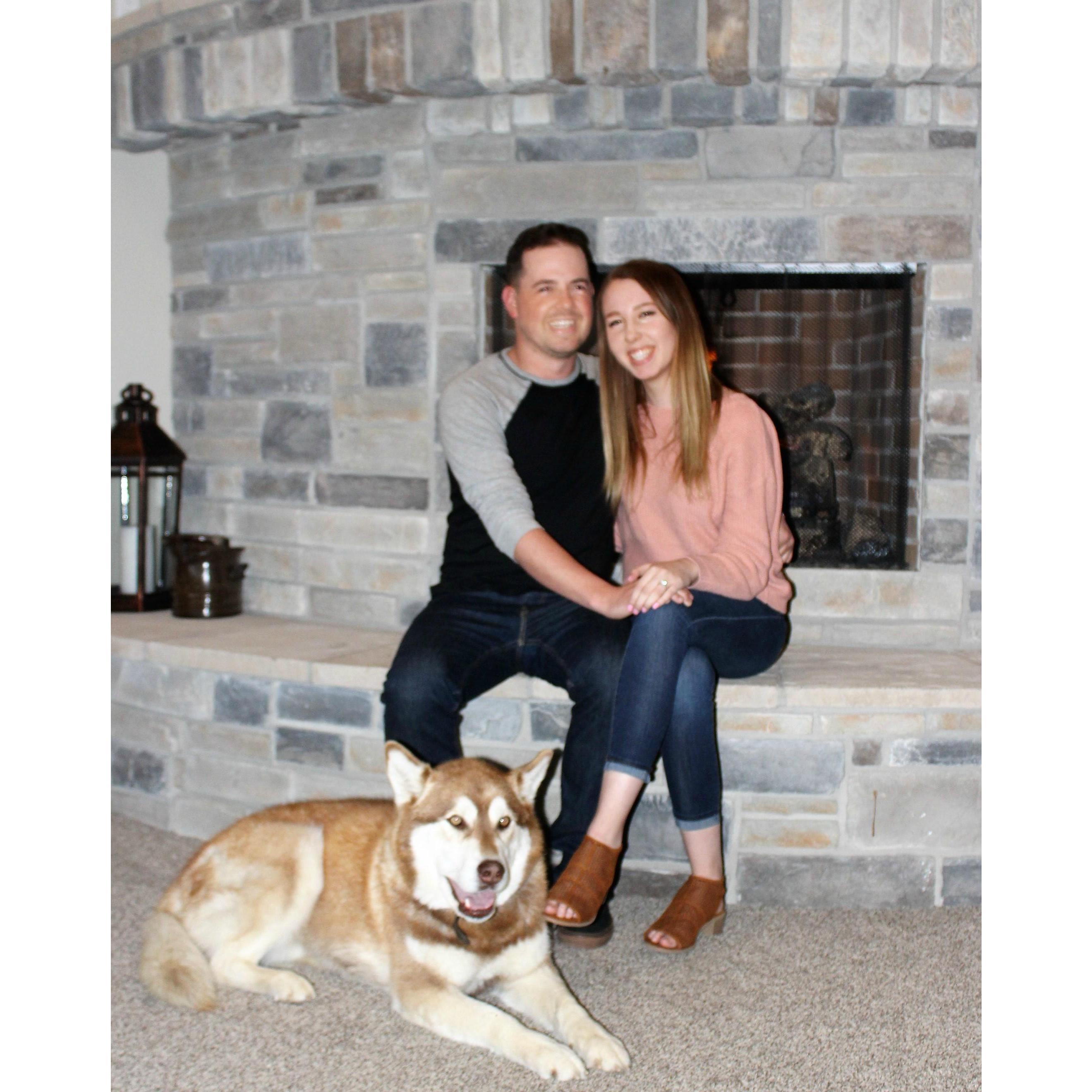 Our dogs are part of our family