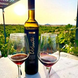 Santorini Vineyard Tour