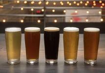 Aardwolf Brewing Company