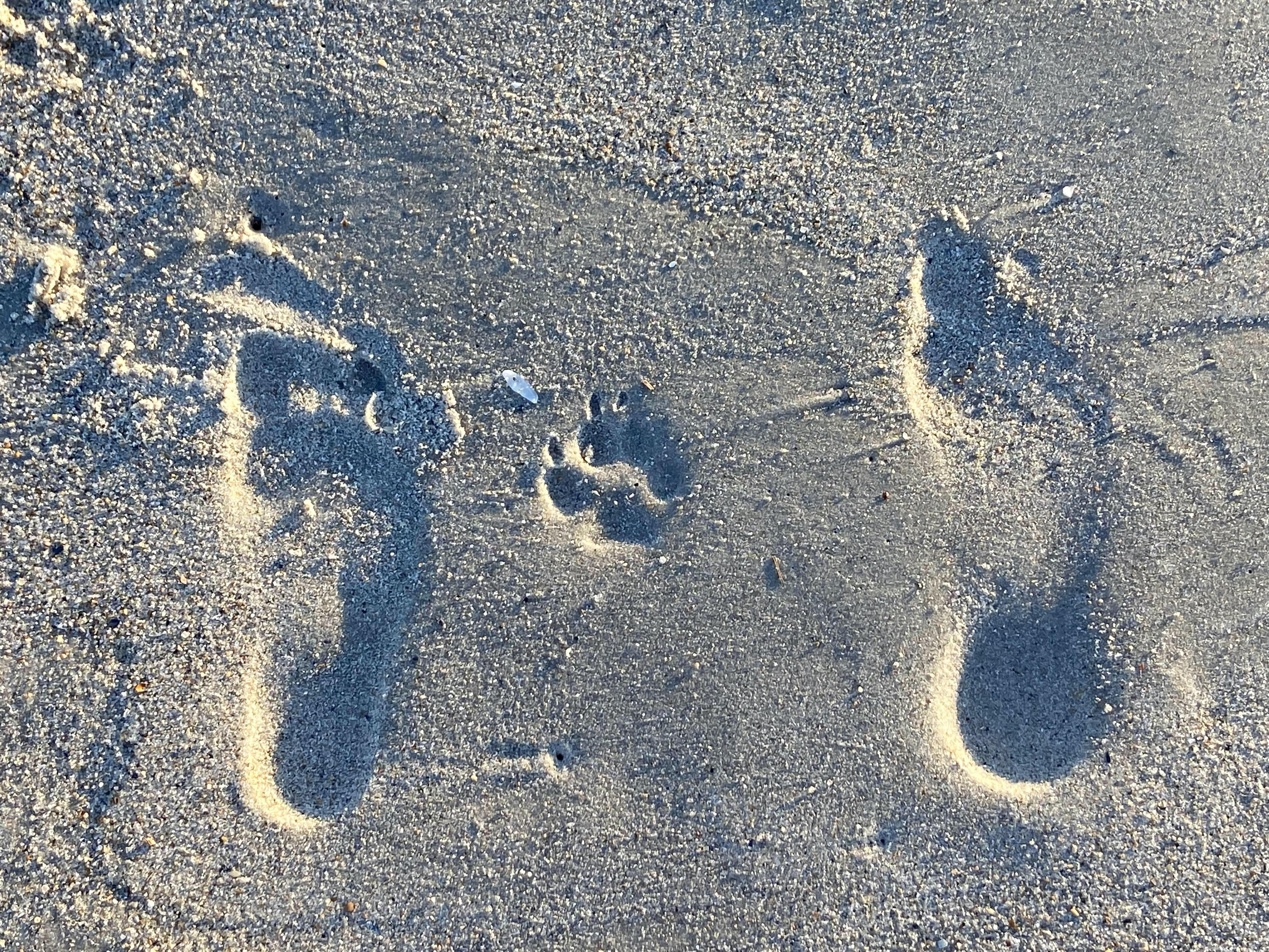 The Wedding Website of Brianna Lee and Juan Contreras