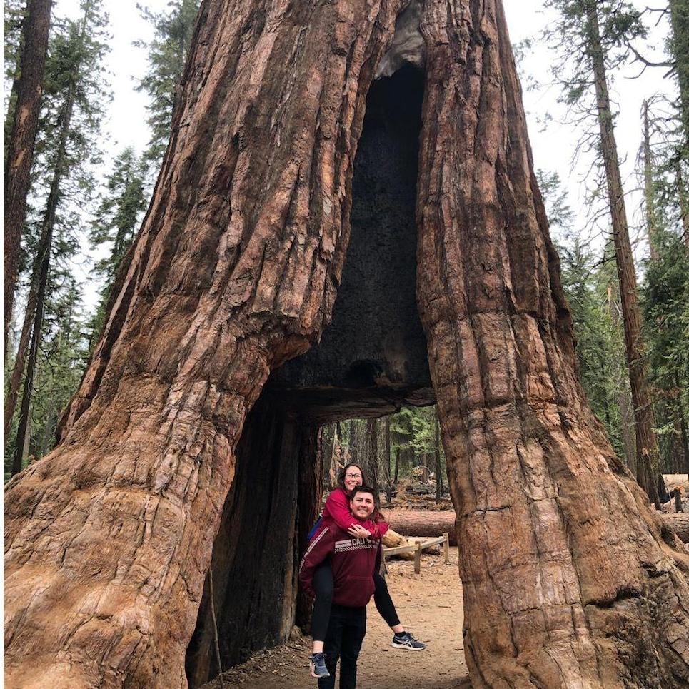 Yosemite 2021